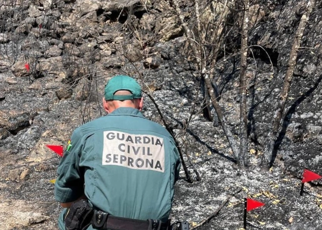 investigadores guardia civiles incendio sayago 2026
