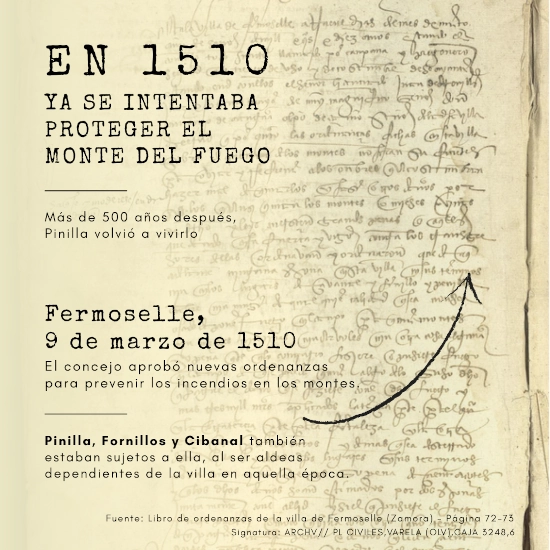 ordenanza del fuego fermoselle 1510 pagina 72 ordenanza del fuego fermoselle 1510 pagina 72